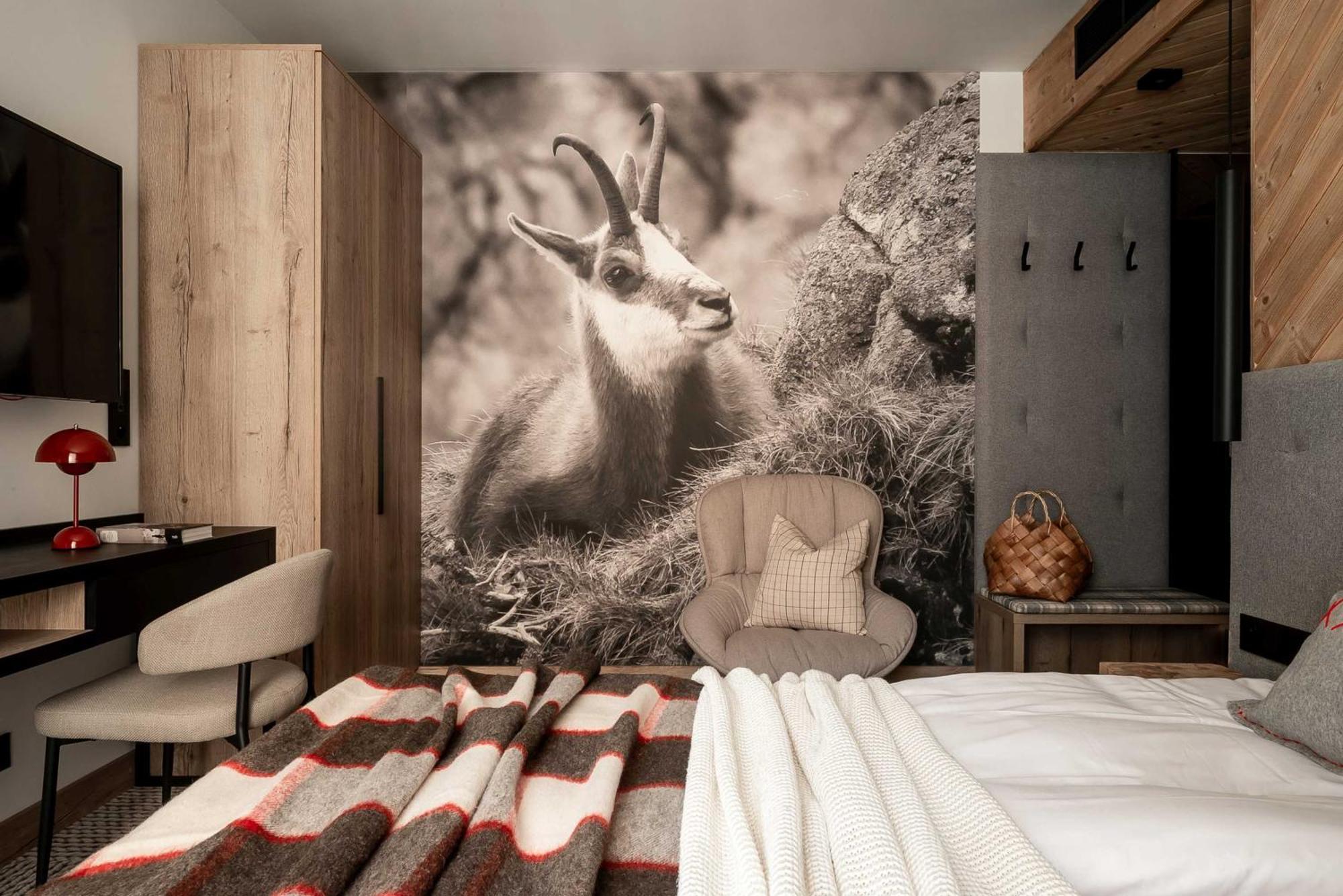 Stefanova Zakopane Aparthotel & Spa Εξωτερικό φωτογραφία